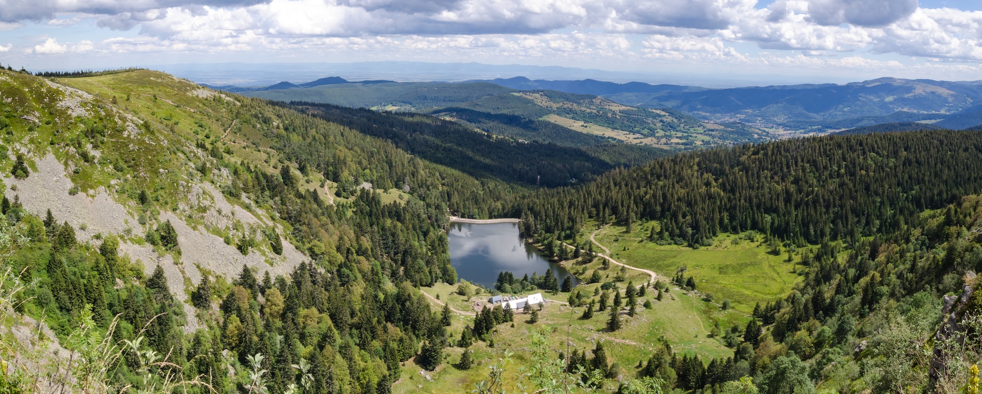 Vosges