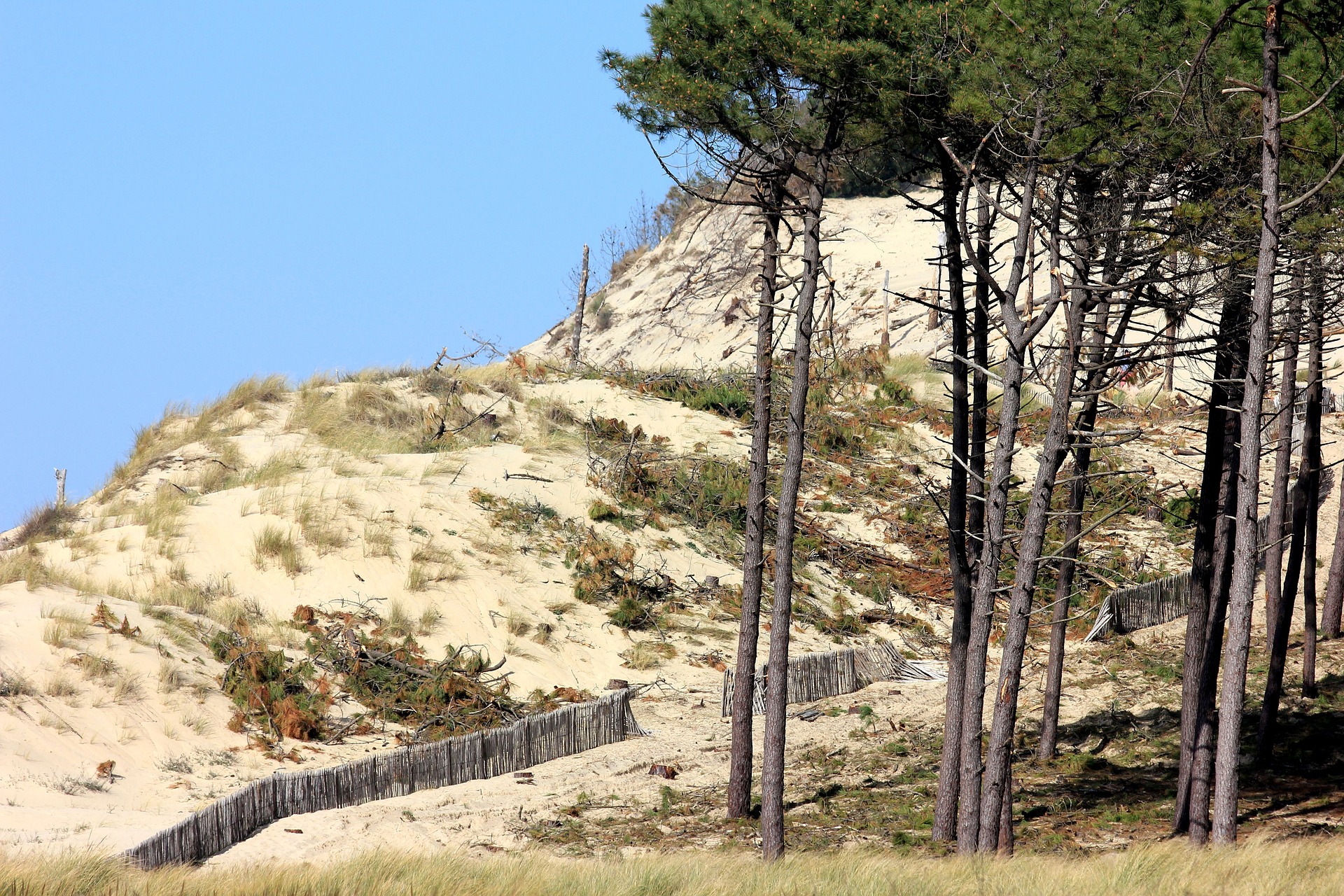 Vendée