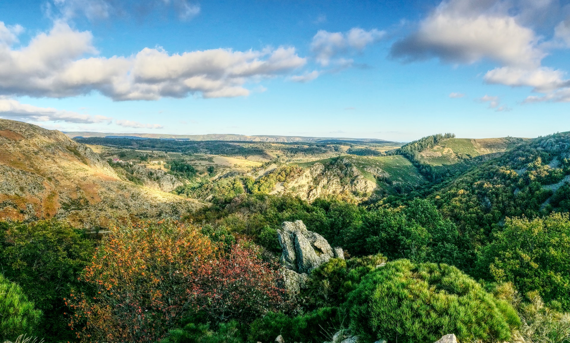 Lozère